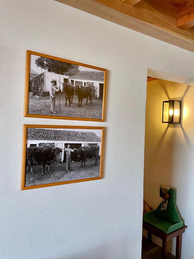 Casa Do Avo Jose Alves Villa Praia da Vitoria ภายนอก รูปภาพ